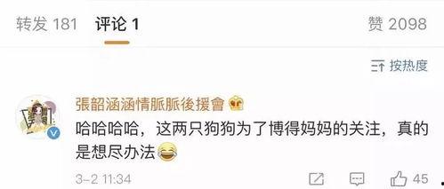 娱乐圈吃瓜总结