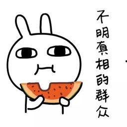 娱乐吃瓜酱用最大的恶意,吃瓜酱用最毒辣眼光剖析幕后真相